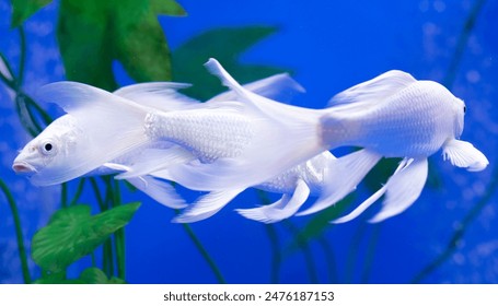 亚洲中文字幕视频小说图片 亚洲中文字幕视频小说图片