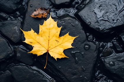 青梅竹马是消防员 青梅竹马是消防员